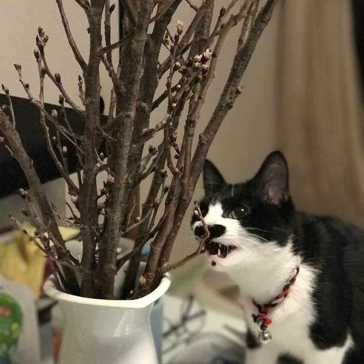 B0654261 d4e7 47ff 9da4 c45962064111