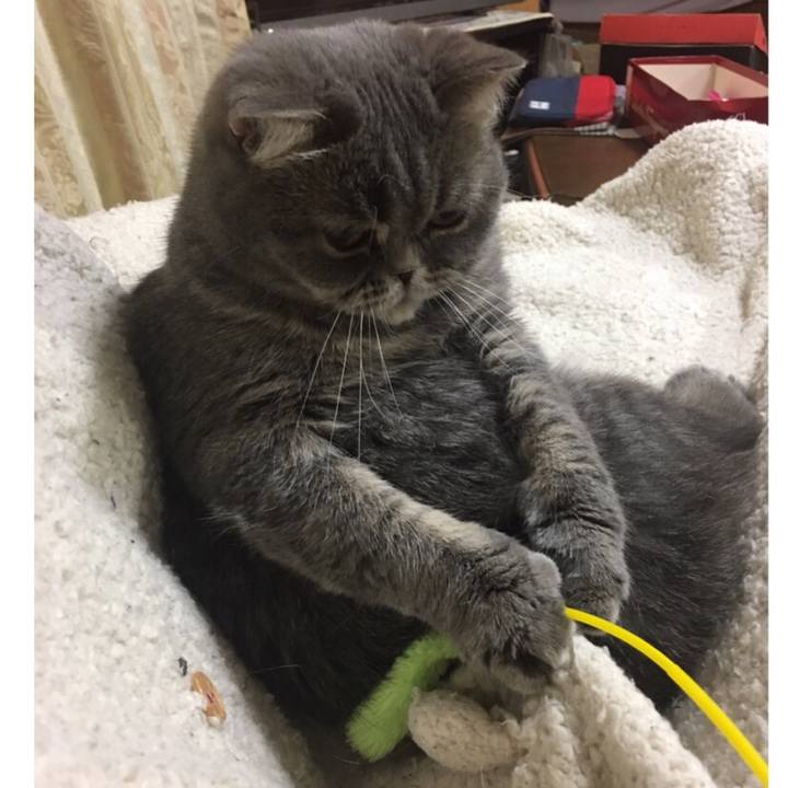 B0658103 33aa 46f5 b916 3a9b4b3c3420