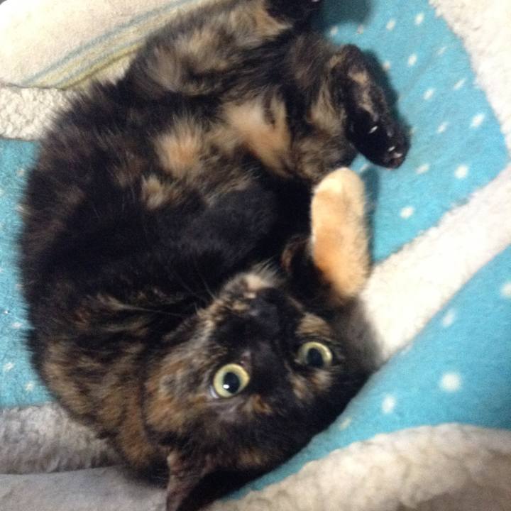 B065bae4 b0e6 45d1 a6e7 43286b51ace3