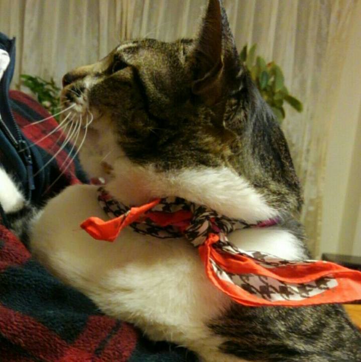 B066039b 1d92 458e 8fe7 20ead12d3cf5