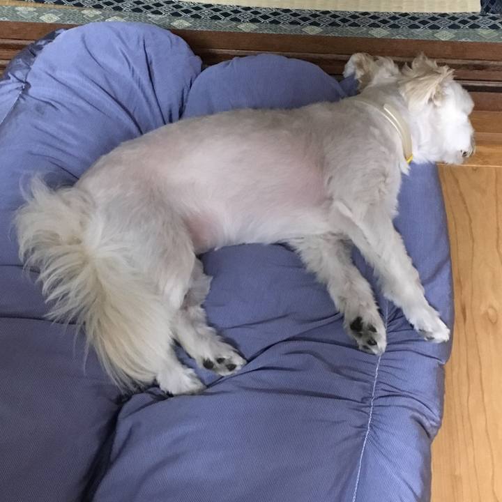 B067e311 910d 493e 9045 91fb1609b21c