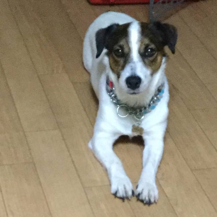 B068cba9 c409 4a93 ac1f a97a21d587e8