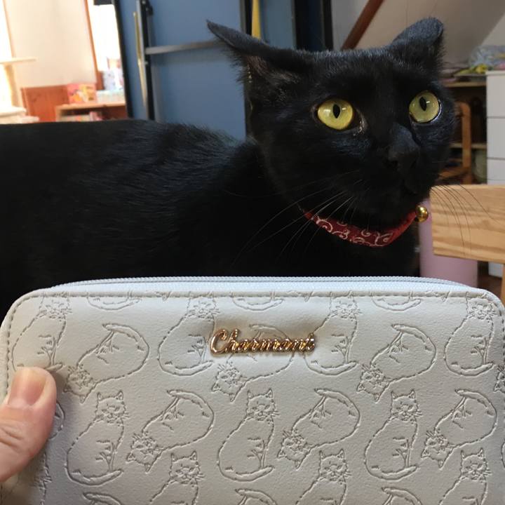 B068d0a5 8461 4abe 879e b5ebc3d117d0