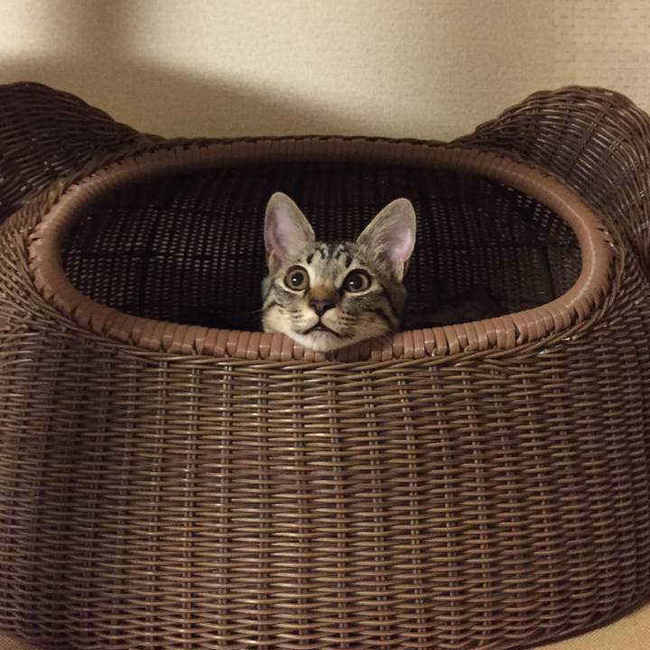 B068edbe 9dd5 4bef a71f e9f032cb594d