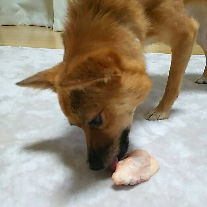 B06a15bd 18a4 4301 8be5 b689600e7958