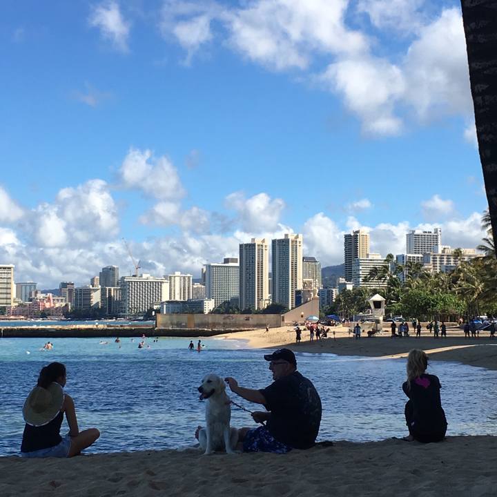 B06a8051 ea2d 467b 9d38 dc340afb10c0