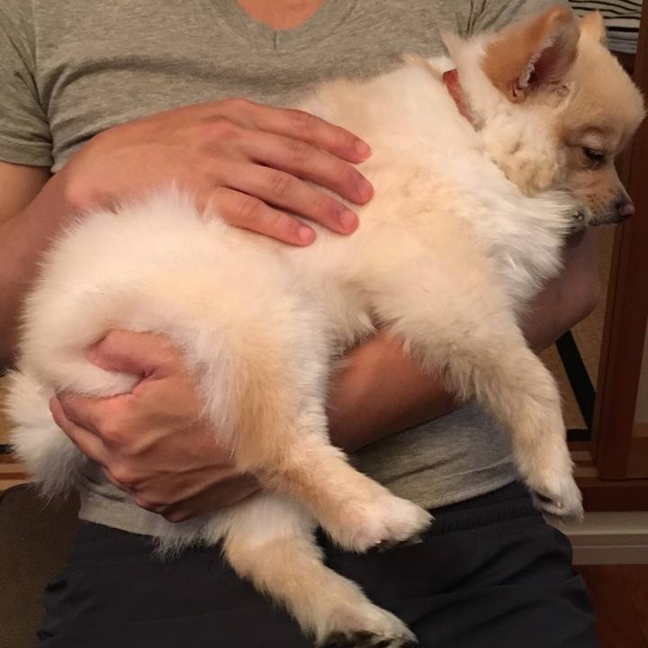 B06aa085 201b 4df9 a0d9 0b20a525e33d