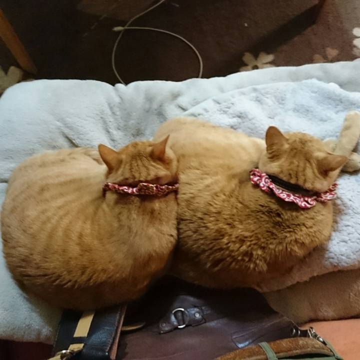 B06ad6a9 52ff 4ae0 8fea 25ab7e473118