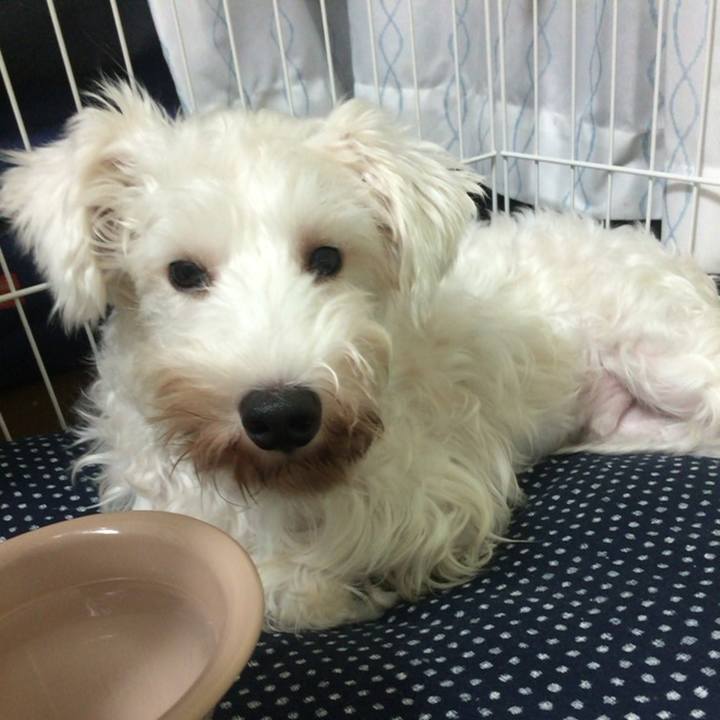 B06aeb82 f9b8 49f5 98c6 2c73e4588979