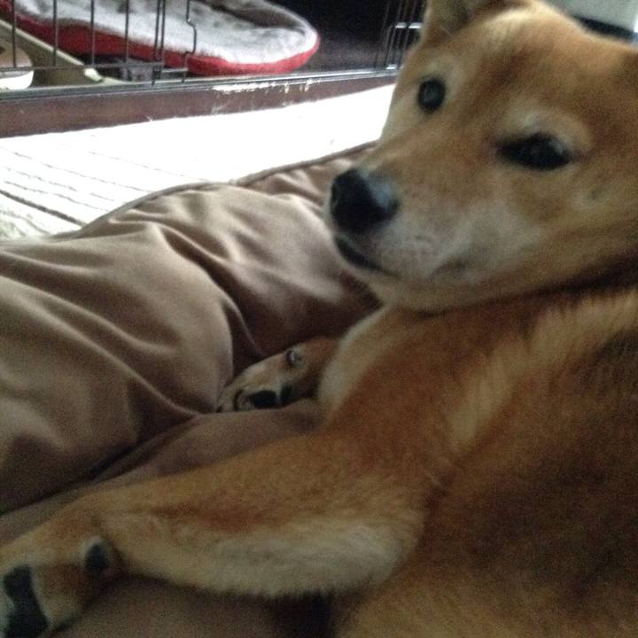 B06b4c5c 0089 4fe8 bd5c c1cfc4e7f206