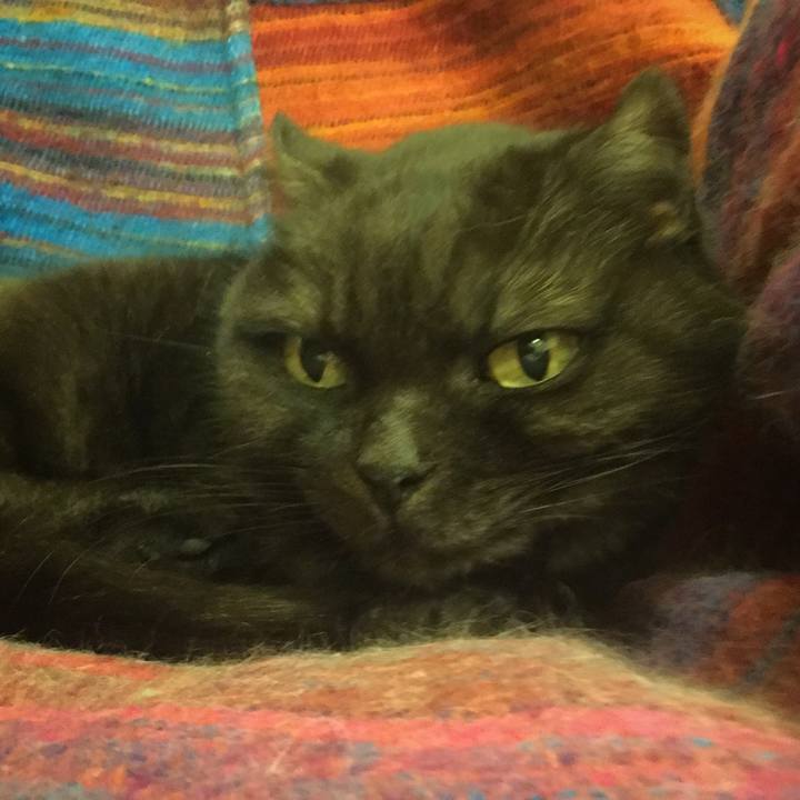 B06ce5e1 6c1b 4b32 8405 7381e1ef8b72