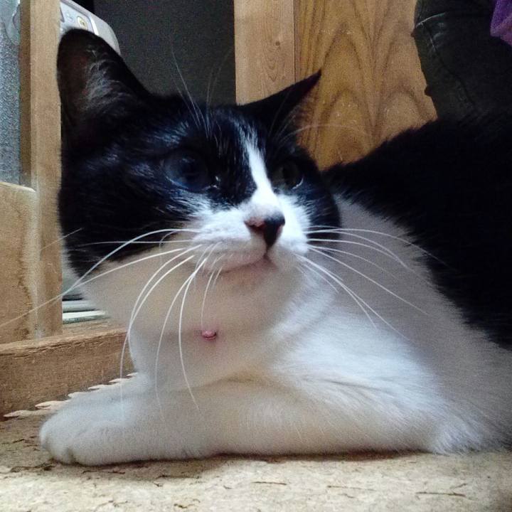 B06cf475 82ae 4e97 9f99 87fc649b895c