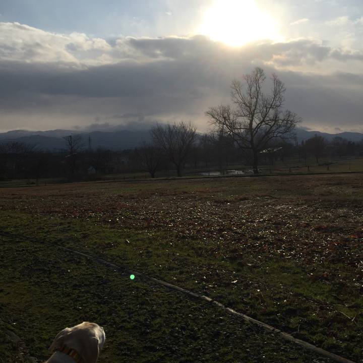 B06db8ca dea3 4f57 88d6 3cc078ee5f52