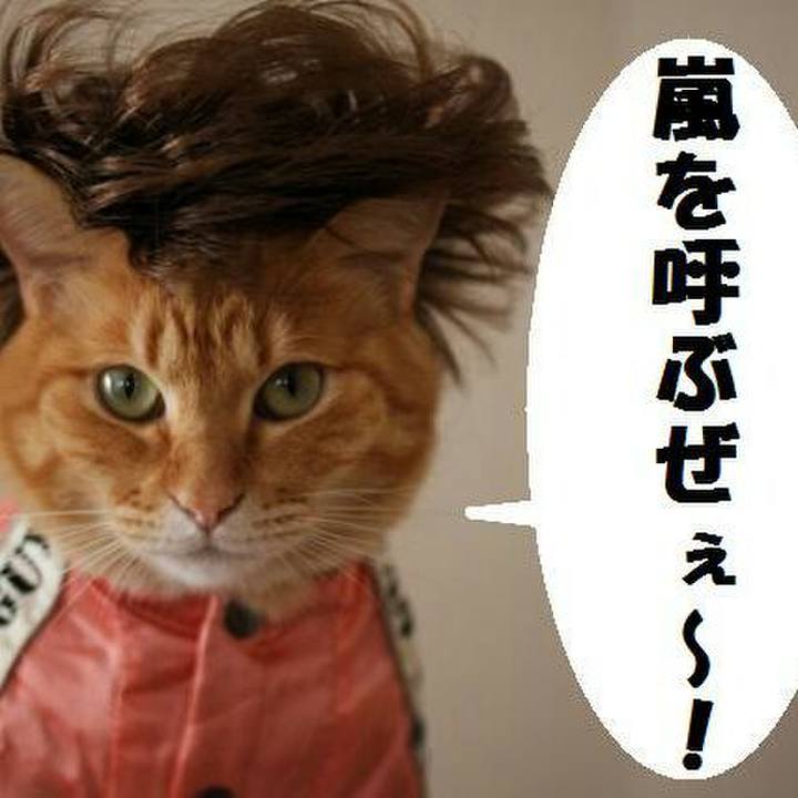 B06e45cf 8343 4d6b 87c8 42565c77b4be