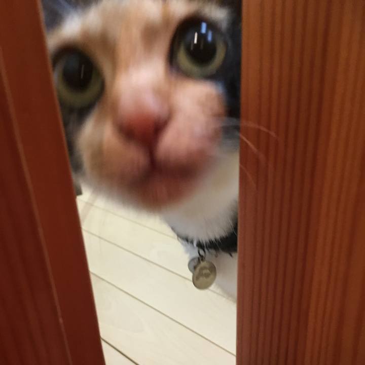 B06e9add 7a06 43a4 a9ee 33647fa7ebc6