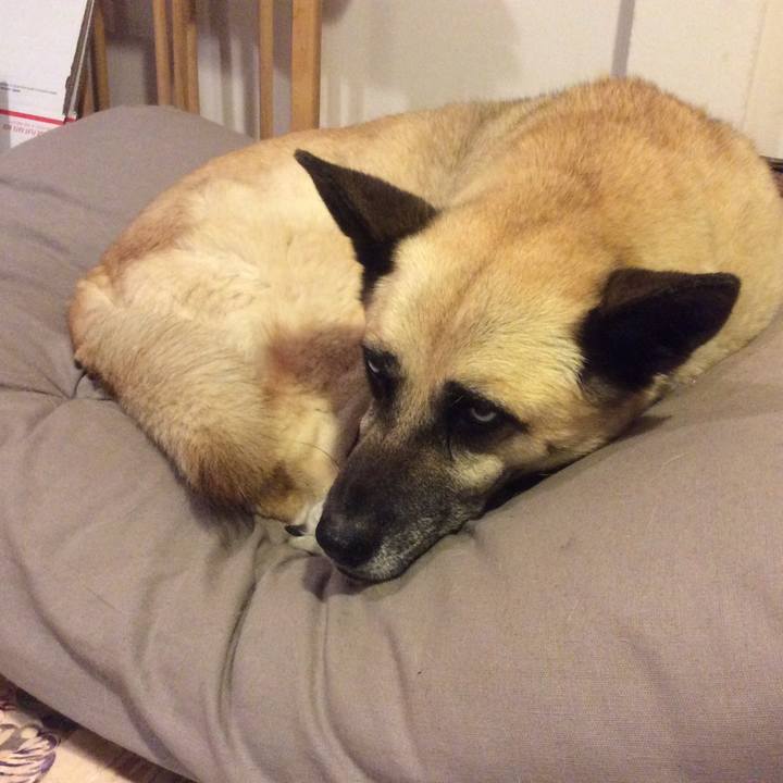 B06ec43b 54f5 46c8 904d de58349cf518