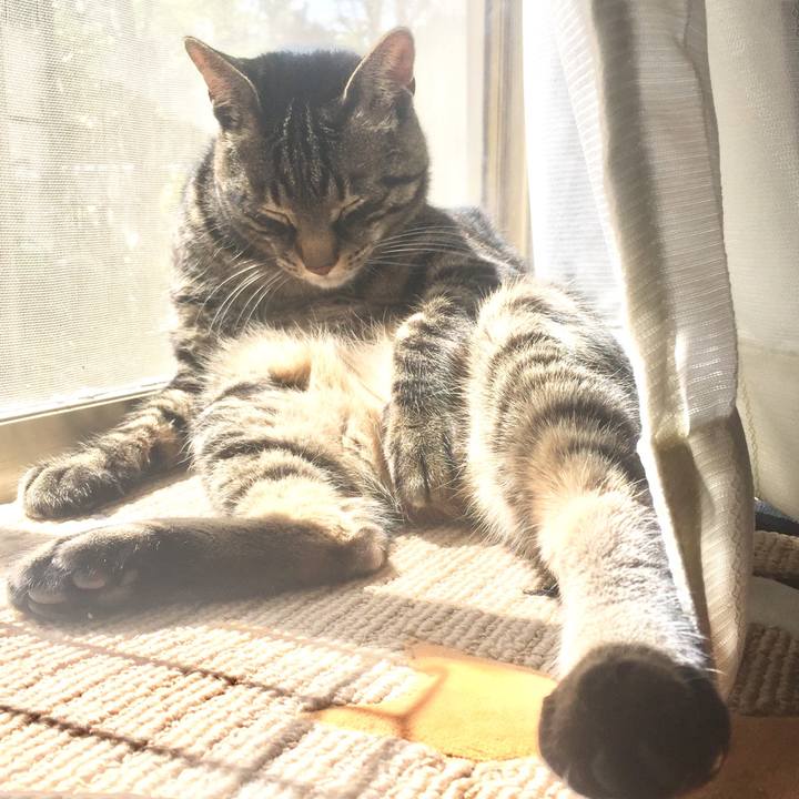 B06f39f9 5925 4e2f a11a ca00a36230c4