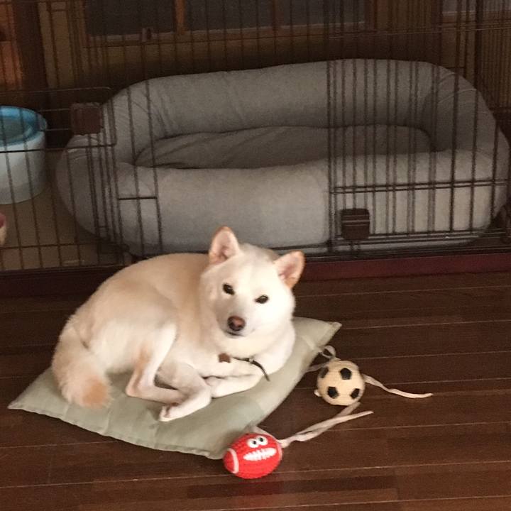 B070b40e d1c8 4b53 b200 6b5f26926734