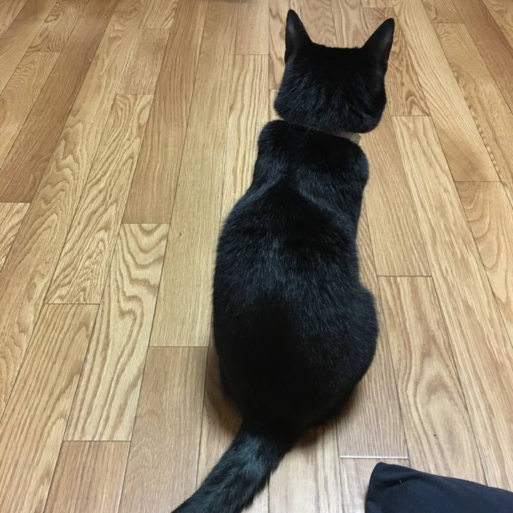 B070bae8 4ad6 4a76 9892 de81272ef9cc