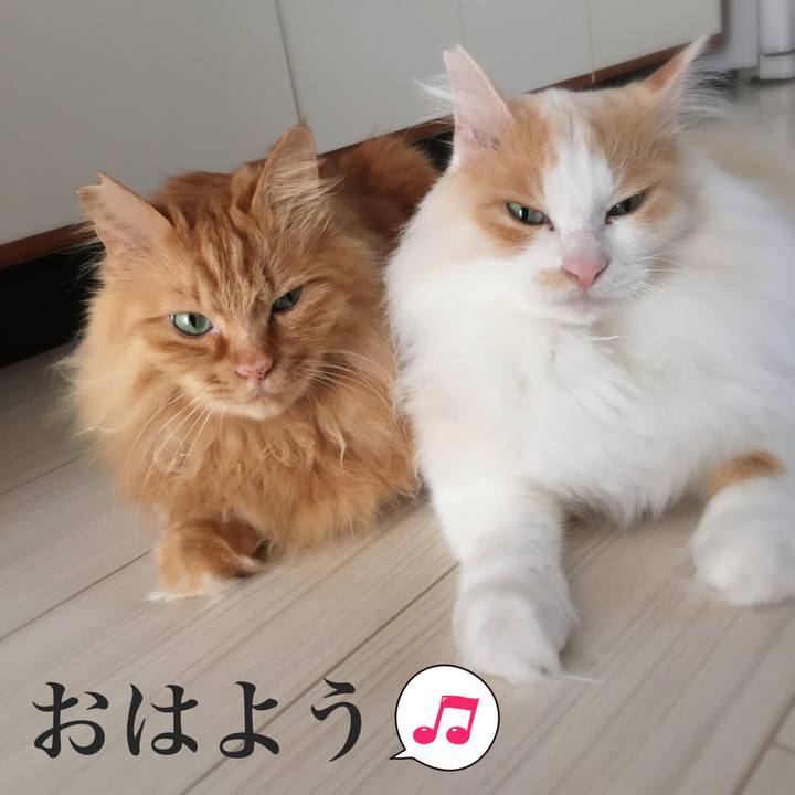 B07148a0 25eb 4f0f a41c 9482fcf7d428