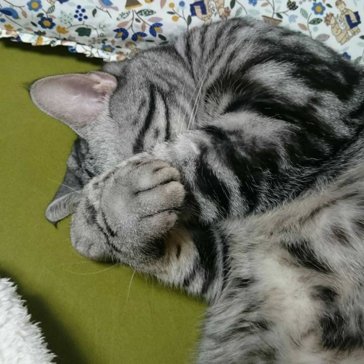 B071c086 ca33 4650 827f c116fb6a526e