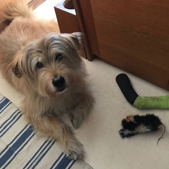 B071cc07 b06a 444a b3fb a5a7d8be9120