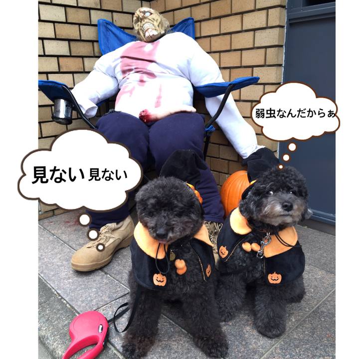 B07235cf 74fc 4e8c 88d1 4913aaa39c3b