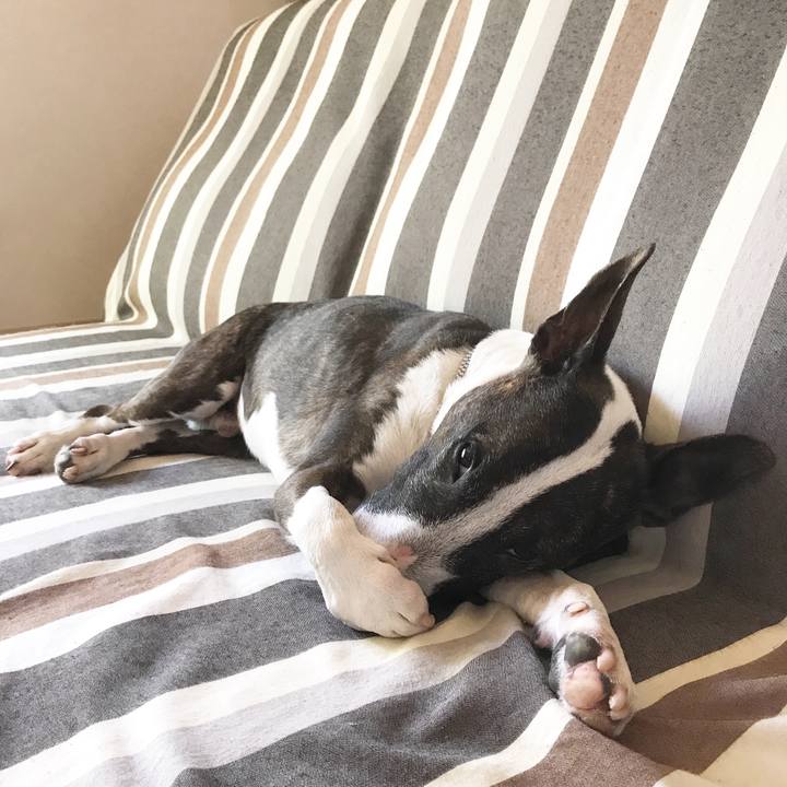 B074ec63 a3bf 4876 b2b8 261e007d3722