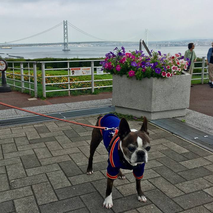 B0753962 b442 4f0d b10e 3297caf57b0b