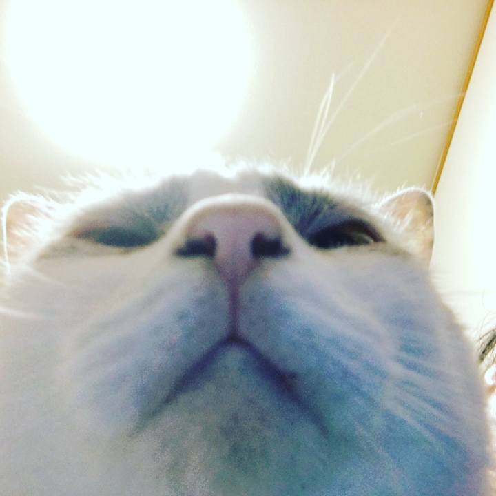 B07662ae 4bbc 4a3b 8ea5 495de287c927