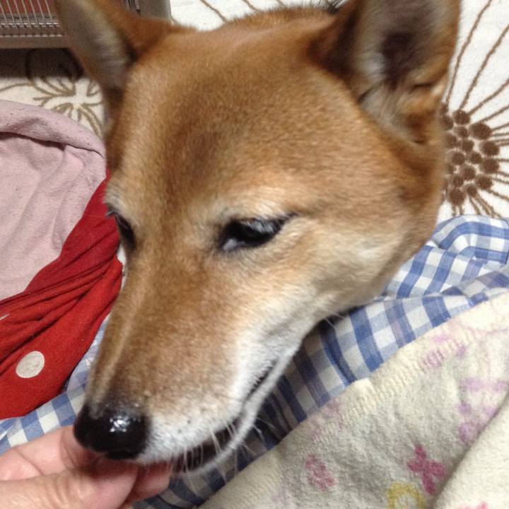 B077d95c e258 4107 a848 5a9b92adcf01