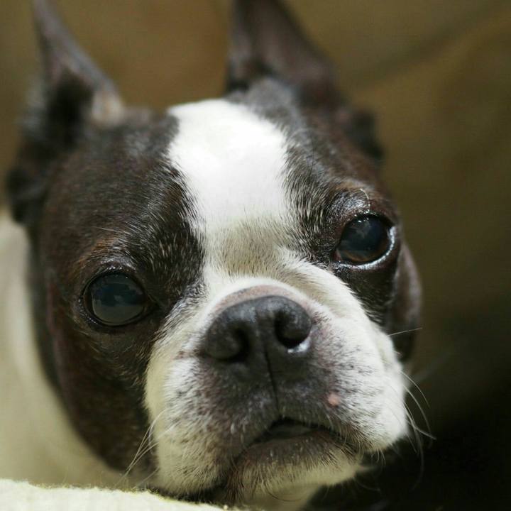 B0782f34 a2f0 4786 bee0 be413827c741