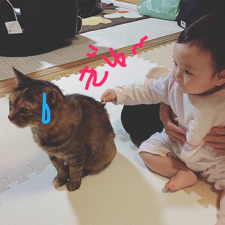 B07849ab 500d 4014 92c1 98186e0d2d28