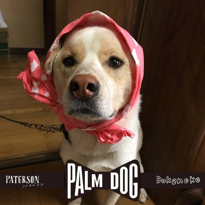 B0789122 55f9 4f41 99c7 cd049c54b1a2