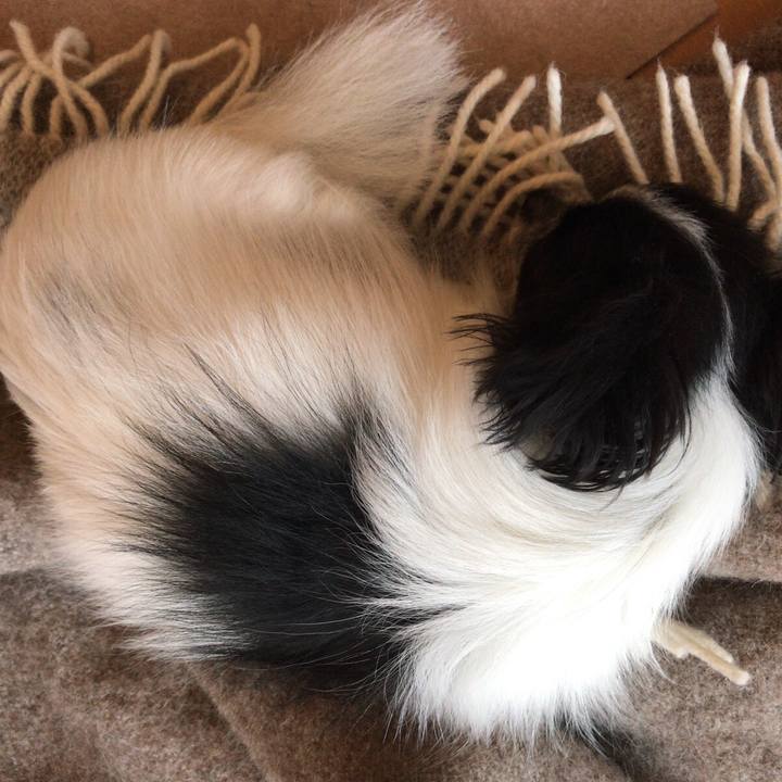 B079470b f83c 42b3 84fb 7bf2303c21e2