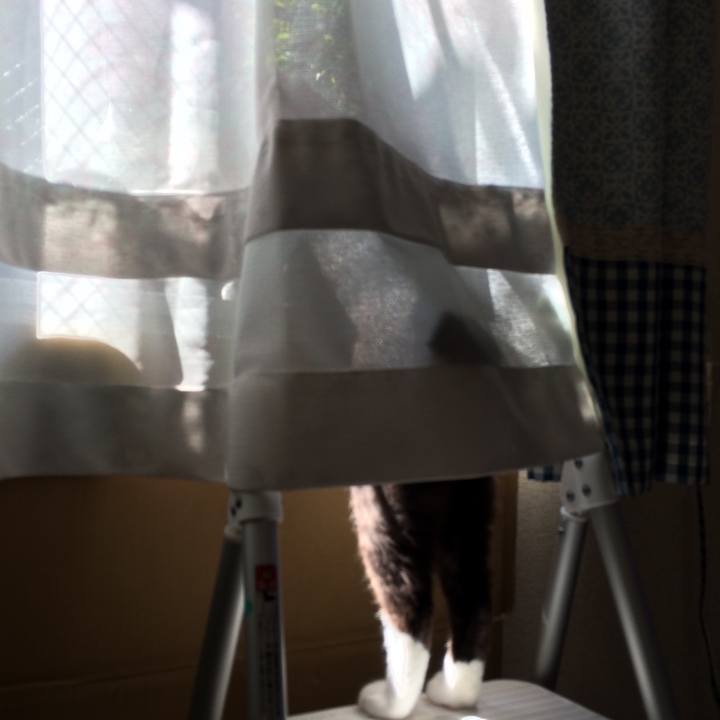 B079910f a557 4dfb 97ee ef4952679441