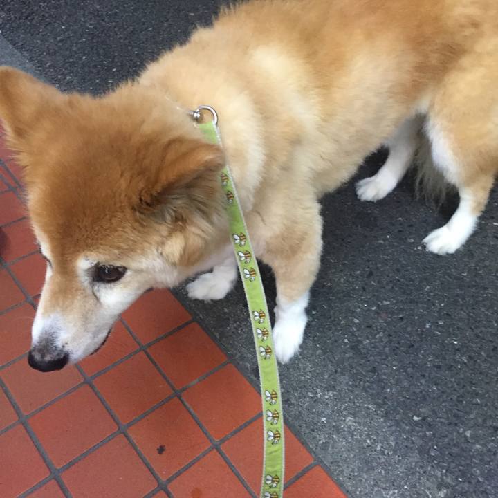 B079fe58 a6eb 4db3 9ea3 010fbebb2643