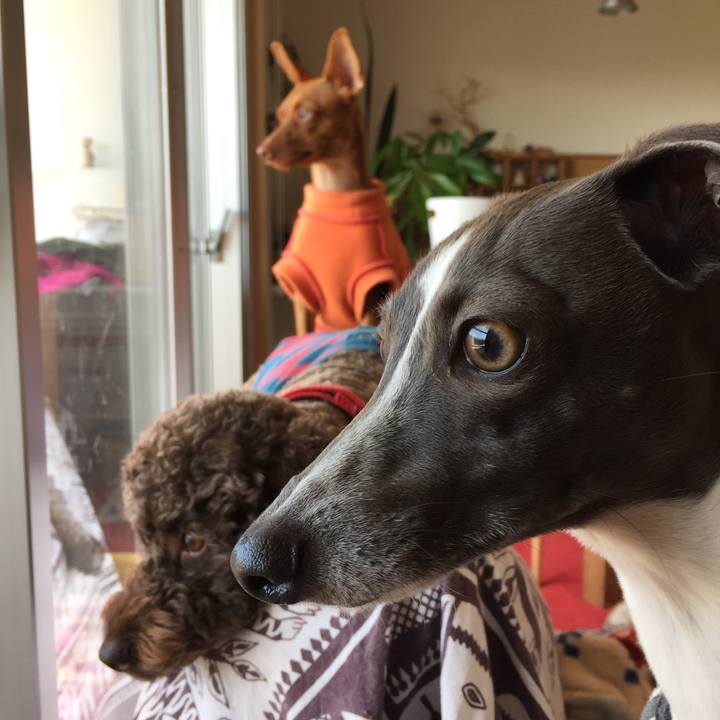 B07a588d 1292 4512 b262 ed663dc0aa6f