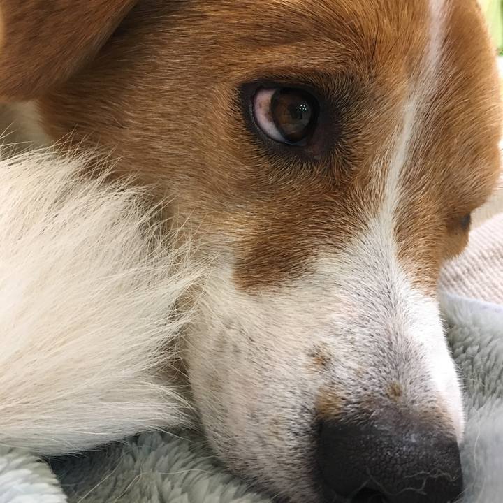 B07b2b03 be2c 40c7 98a4 3120d35e2330