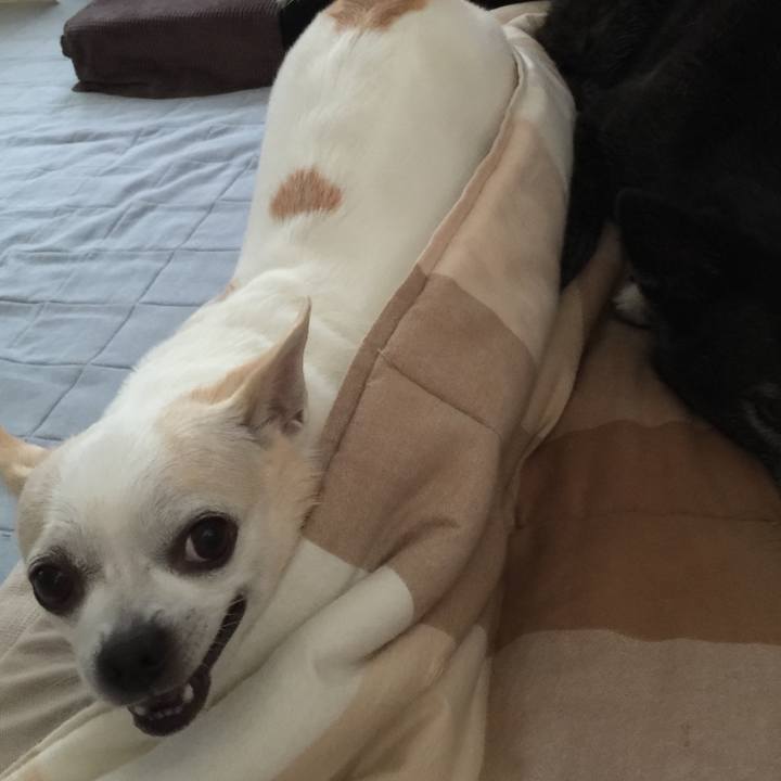 B07bb19e 1900 46c4 93c4 b90e8f62a4e6