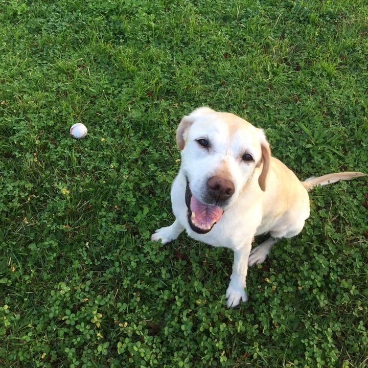 B07c2bd6 5d78 459d a9ae 5e5d83893fd3