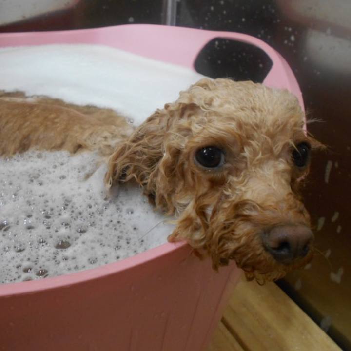 B07cc273 50fb 4f32 9db2 2203a00d00b8