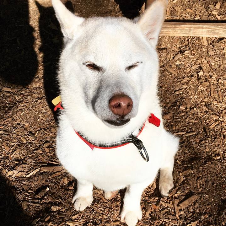 B07cce86 86a9 48ed 935c ff03e3171267