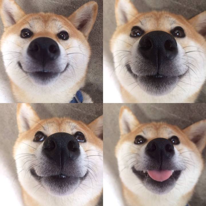 B07cddd0 337e 4cc7 ade2 39a300975e80