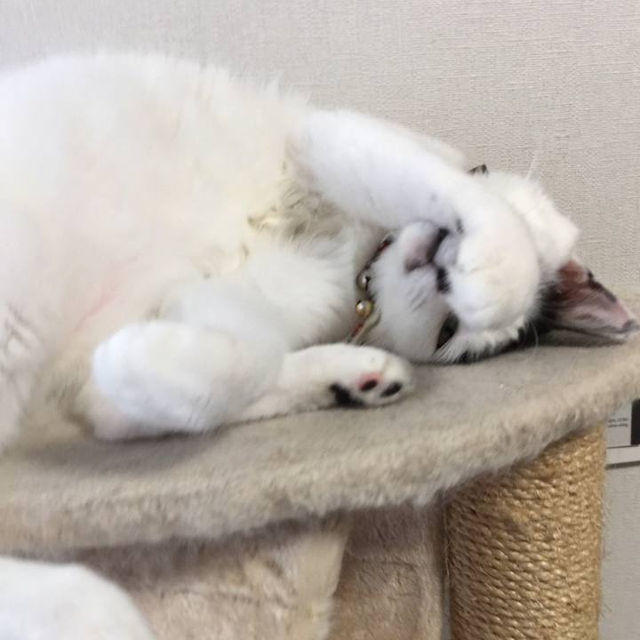 B07d1dbb 4481 489a b207 d5290fbafce6