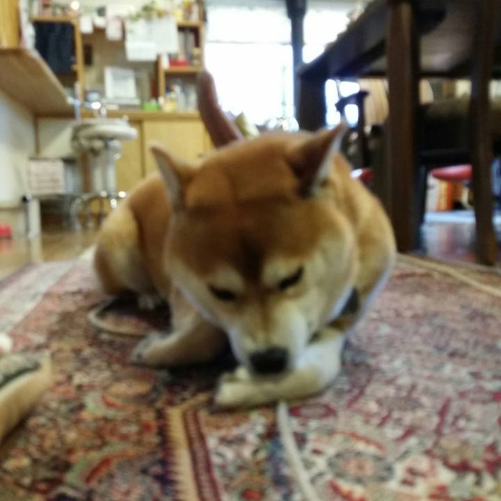 B07d226d b5bf 4dac 9acb 5eca66d2d398