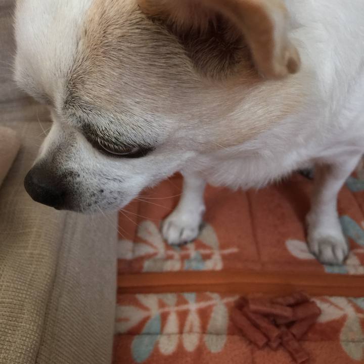 B07d27a2 8c1a 4aa4 a89b 29eb34d39a81