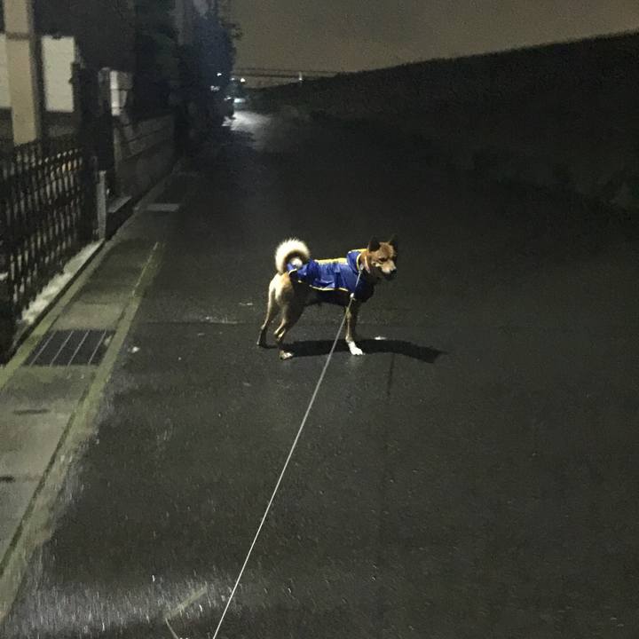 B07d4479 84fb 494c b237 9171cdd31a6f