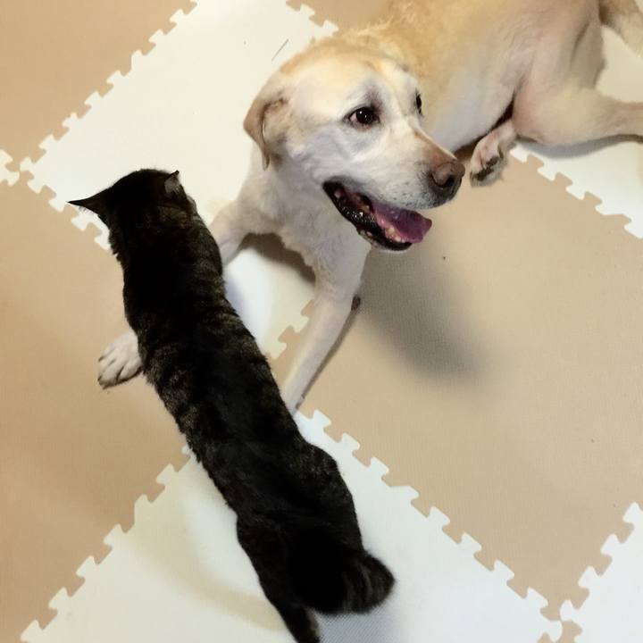 B07dfa0e 78a2 4919 8eb7 5a229730b667