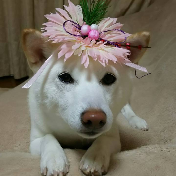 B07e03fa 25f9 4999 b989 48d2ba6c6c65